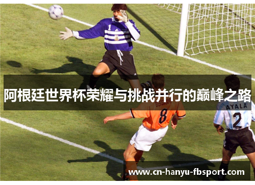 阿根廷世界杯荣耀与挑战并行的巅峰之路