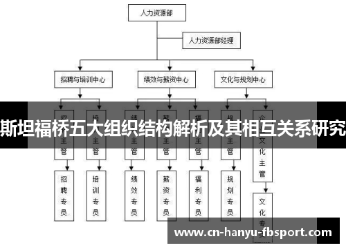 斯坦福桥五大组织结构解析及其相互关系研究
