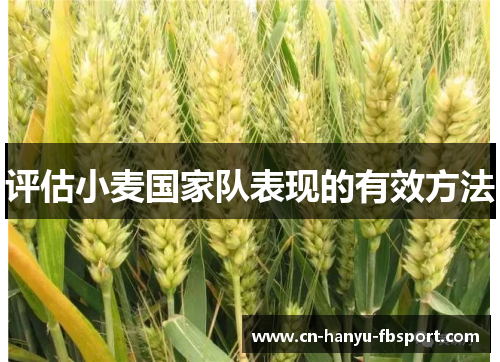 评估小麦国家队表现的有效方法