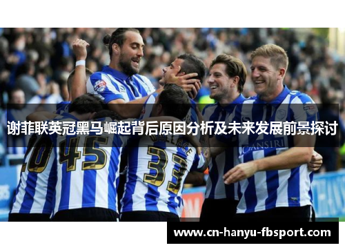 谢菲联英冠黑马崛起背后原因分析及未来发展前景探讨